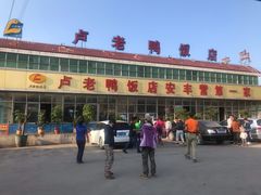 -卢老鸭饭店(楚雄到昆明方向店)