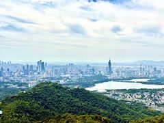 -紫金山山顶公园