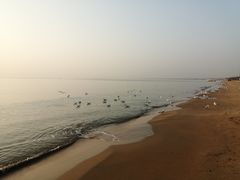 -金梦海湾浴场