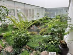 -罗红摄影艺术馆