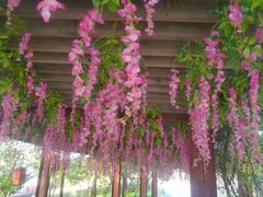 -西安汉城湖景区