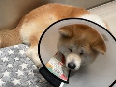 -YCHL Studios健身工作室(市二宫店)