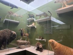 -国家自然博物馆