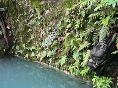 -十八棵（老龙井）御茶园(老龙井店)