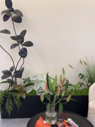 -海涛医疗美容·面部抗衰·注射美鼻