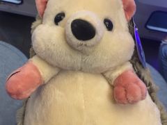 -PAWTOY爪e玩偶店(天兴罗斯福店)