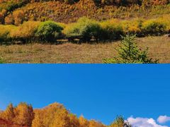 -塞罕坝国家级自然保护区