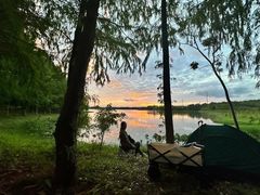 -上海海湾国家森林公园