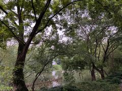 -西溪国家湿地公园