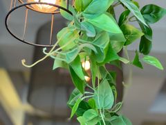 -花马天堂云南餐厅 Lost Heaven(外滩店)