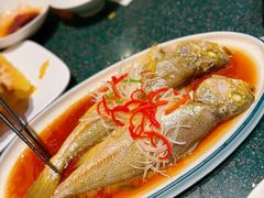 -波螺油子青岛本帮菜(银座店)