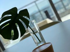 -COFFEEOLOGY咖啡学(天银店)