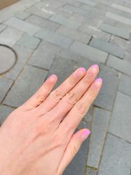 -BELLAREAL新美社