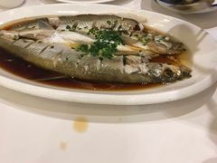 -同庆楼(滨湖万达广场店)