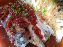 -多米餐厅(文涵路店)