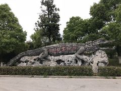 -中国扬子鳄村