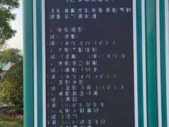 -荷兰花海