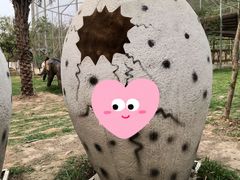 -南丹山森林王国