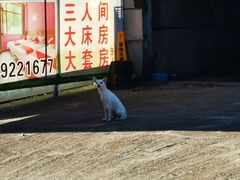 -大连天门山国家森林公园