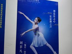 -中央芭蕾舞团·中芭艺蕾(酒仙桥明星校区)