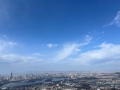 -紫金山山顶公园