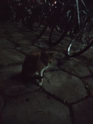 -蚂蚁造型沙龙