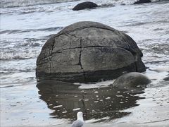 -摩拉基大圆石