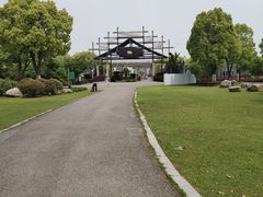 -荷塘月色湿地公园·向阳花洲