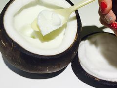 -志龙皇冠吃货椰子铺