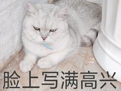 -小时光咖啡馆(北锣鼓巷店)