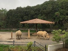 -宁波野生动物园