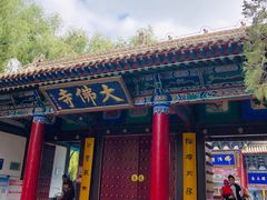 -张掖大佛寺景区