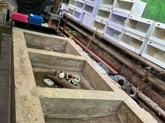 -呀路古热带植物园