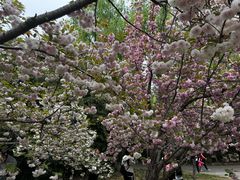 -莲花池公园