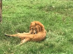-西安秦岭野生动物园