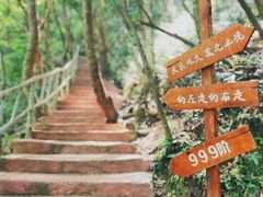 -龙湾潭国家森林公园