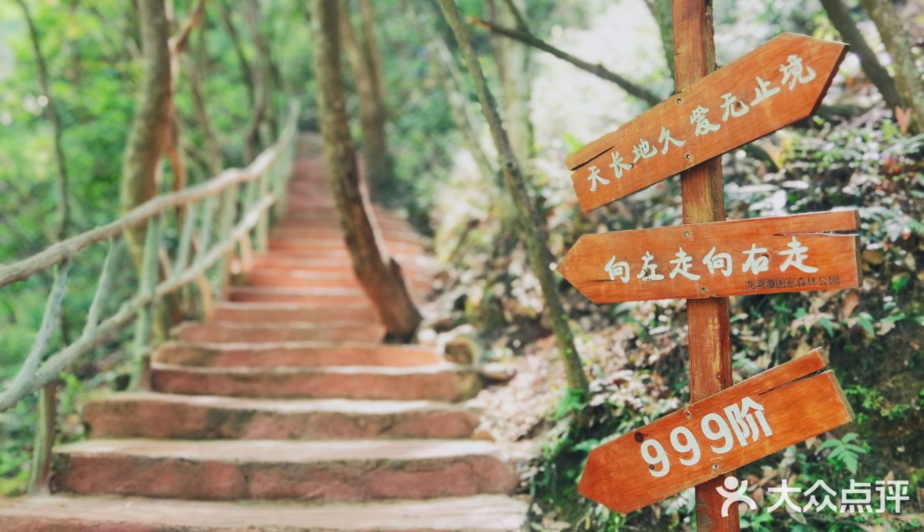 温州“月老山”，治愈系风景遇上网红项目