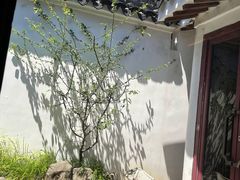 -苏州吴宫泛太平洋酒店