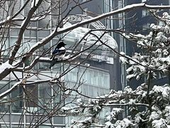 -王府井步行街