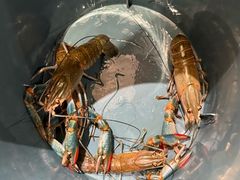 -虾胡闹龙虾馆(湄南河店)