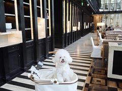 -北京康莱德酒店-Chapter餐厅