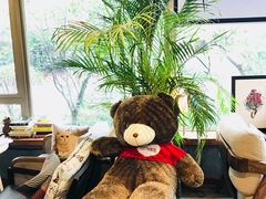 -咖法森林·咖啡  酒吧(天河店)