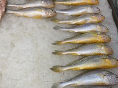 -大毛鲜生·小海鲜·家常小炒(奥体店)