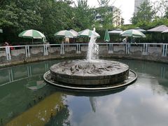 -成都市活水公园