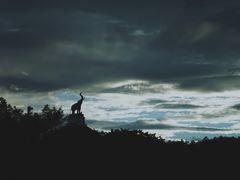-清迈夜间动物园