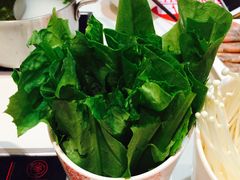 -密友回转自助火锅(世茂国际广场店)