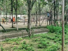 -草根堂农场