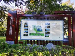 -大兴滨河森林公园