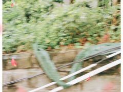 -白公馆