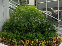 -长沙黄花国际机场-T1航站楼